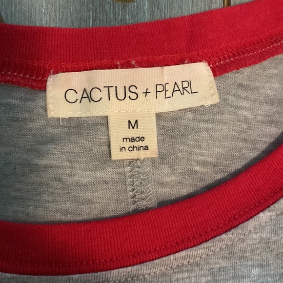 SOLD. Cactus + Pearl grey heart t-shirt in size medium - Picture 3 of 6